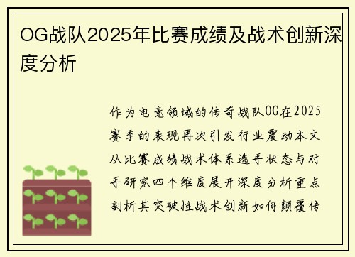 OG战队2025年比赛成绩及战术创新深度分析